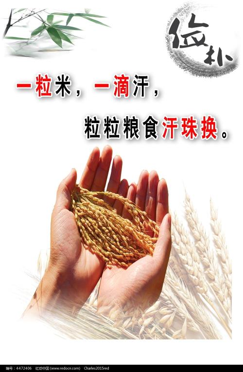 亚柏特麦格纳斯学院Diploma in Economics